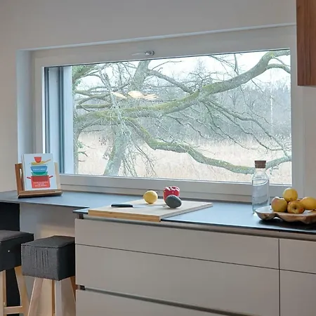Swiss Semesterbostad Noville