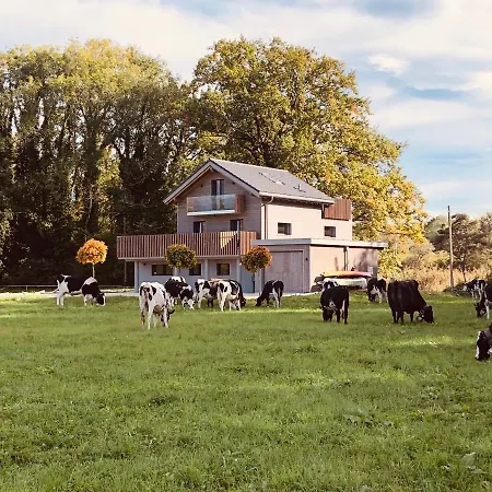 Swiss Semesterbostad *